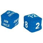 Fitness Dice Set