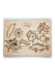 Bush Tucker Puzzle 