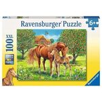 Horses in the Field 100pc Puzzle