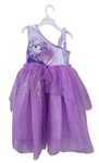 2957: Anna Costume - Age 5-6years