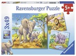 Wild Animals Puzzle