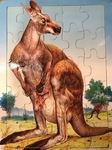 Kangaroo & Joey Jigsaw Puzzle