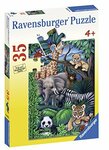 Animal Kingdom Jigsaw