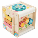 Petit Activity Cube