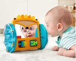 Play & Crawl Hedgehog Mirror