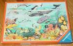 Coral Reef puzzle