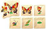 P31: Butterfly Layer Puzzle