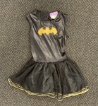 Rubie’s Batgirl Costume