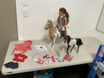 Our Generation Catarina doll with 2 horses