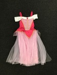 DU2509: Princess Sleeping Beauty Costume