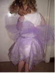 Purple Fairy Costume