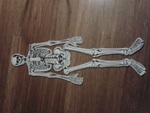 Skeleton floor puzzle