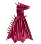 B4: Dragon Costume 