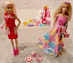 F173: Barbie- cat veterinary set