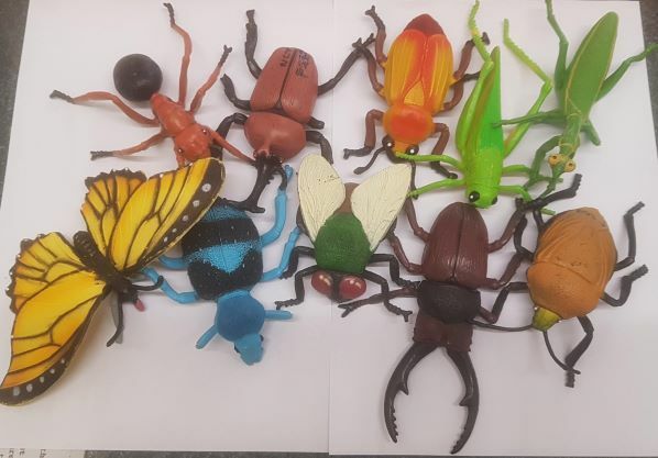 F260: Wild Republic Insect Collection