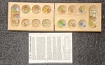 Mancala Game
