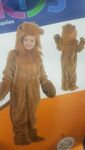 Lion Costume / Dress Up