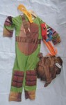 Teenage Mutant Ninja Turtle Costume / Dress Up