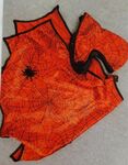 Spiderman Cape Costume / Dress Up