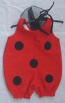 Little Ladybug Costume / Dress Up