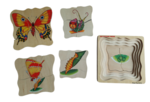 Butterfly Life Cycle Puzzle