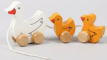 Pull along duck family