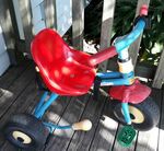 Charton Trike (Blue & Red)