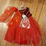 Fairy Costume 2