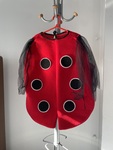 Ladybird Dress Up
