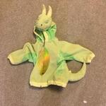 Dinosaur Dress Up