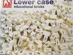 Lower Case Educational Bricks