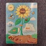 Parts of a Flowering Plant Puzzle