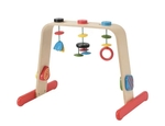 R306: Baby Gym