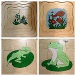 Frog sequence puzzle