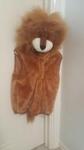 Lion Dress Up 