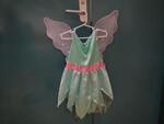 Fairy costume