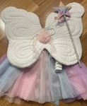Fairy tutu and wings