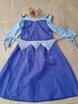 Sleeping Beauty dress Up
