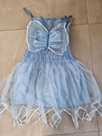 Fairy dress with wings