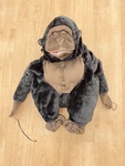 Gorilla dress up