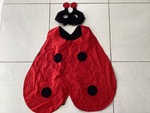 Ladybird dress up