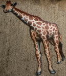 Giraffe Floor Puzzle 
