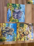Wild Animals Puzzles