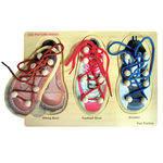 Shoe Lacing Puzzle