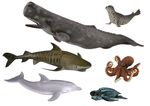 Sea Animals