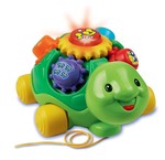 Turtle Pull-along