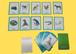 Te Reo Maori Animals and Sealife of Aotearoa learning cards