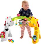 Newborn-to-Toddler Play Gym with Music Lights & Activity Toys