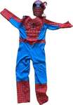 Blue Spiderman Costume