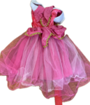 Aurora Princess Dress Up